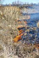 incêndio de capim seco e juncos, incêndios de poluição ambiental. foto