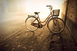 bicicleta no outono
