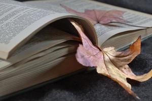 livro aberto no close-up do peitoril da janela entre as folhas de outono, copie o espaço. foto