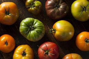 tomates orgânicos coloridos da herança foto