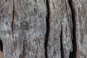 uso de textura de madeira antiga para plano de fundo foto