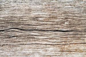 belo carvalho velho de fratura de madeira, textura natural close-up foto