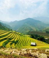 campos de arroz mu cang chai, vietnã foto