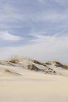 dunas de areia em dia ventoso