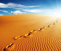 paisagem com pegadas em uma duna de areia em um dia ensolarado