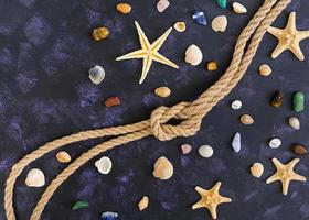 concha, estrela do mar e corda em fundo escuro. vista do topo foto