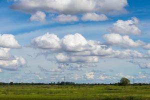 nuvens do céu sobre a planta do campo tailandês. foto