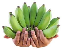 bananas com dedos gordos. foto