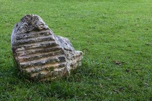 grandes pedras colocadas no gramado. foto