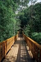 escadas de madeira entre as árvores, natureza de verão, descanso no país foto