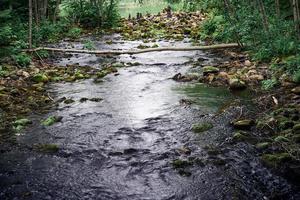 fluxo de água na floresta do norte na carélia foto