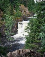 quedas de kivach, carélia. bela cachoeira na natureza selvagem do norte entre árvores coníferas foto