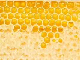 closeup de favo de mel de abelha, mel doce gotejamento fibroso fresco, fundo macro foto