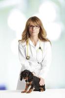 cachorrinho jovem e um veterinário feminino foto
