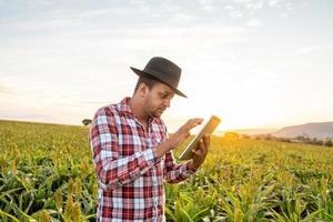 agrônomo segura o tablet touch pad no campo de milho e examina as colheitas antes da colheita. conceito de agronegócio. fazenda brasileira. foto