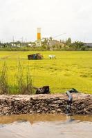 bombear água em um campo de arroz perto do moinho. foto