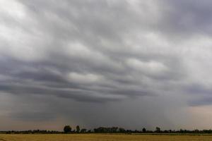 céu nublado sobre arroz. foto