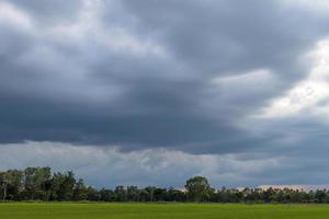 vista nublada sobre os campos de arroz verde. foto