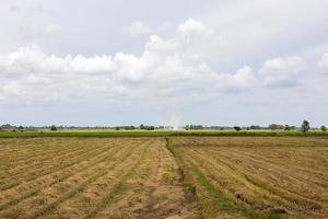 vista dos campos de arroz cheios de palha após a colheita. foto