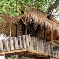 cabana de madeira com telhado de vetiver coberto com grandes árvores. foto