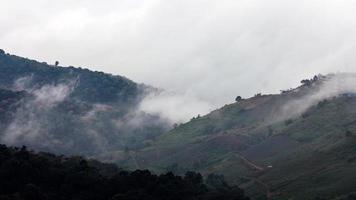 floresta de montanha enevoada. foto