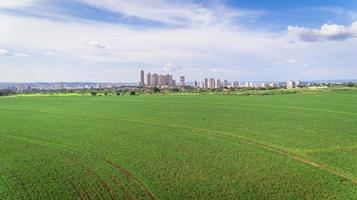 imagem aérea da plantação de cana-de-açúcar perto da área de uma cidade grande. foto