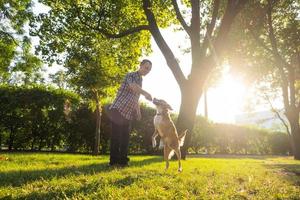 feliz jovem macho brinca com cachorro sem raça no parque ensolarado de verão foto