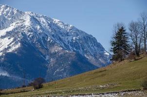 neve e pasto verde foto