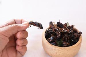 mão segurando grilos fritos como insetos comestíveis de alimentos de alta proteína em arco de madeira com fundo de especiarias foto