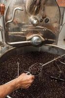 grãos de café recém torrados em uma torrefadora de café