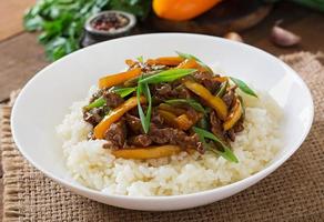 refogado de carne com pimentão, feijão verde e arroz foto