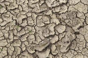 terra seca e abandonada foto