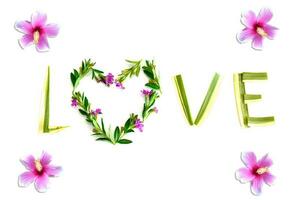 palavra amor feito de flores e folhas em fundo branco. conceito de amor. foto