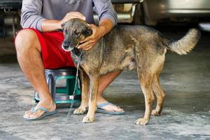 homem asiático senta-se com um cachorro em sua casa foto