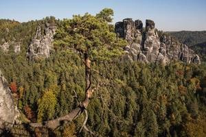 paisagem nas montanhas no parque nacional da suíça tcheca, floresta de pinheiros e rochas foto