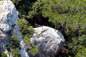 alta montanha e rochas na grécia rhodes foto