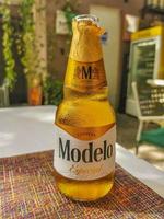 playa del carmen quintana roo méxico 2022 modelo garrafa de cerveja no restaurante papacharly playa del carmen méxico. foto