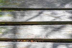 textura e padrão ripas de madeira trilhas para caminhada sian kaan méxico. foto