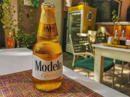 playa del carmen quintana roo méxico 2022 modelo garrafa de cerveja no restaurante papacharly playa del carmen méxico. foto