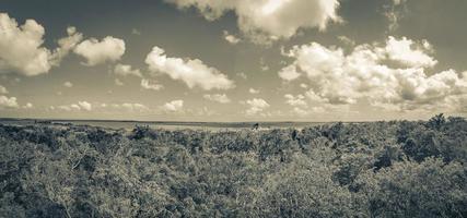 vista panorâmica da lagoa muyil na selva tropical méxico. foto