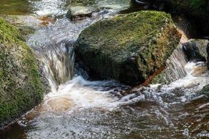 bela foto de um rio na floresta com pedras