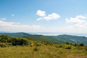 bela paisagem montanhosa com flores silvestres foto