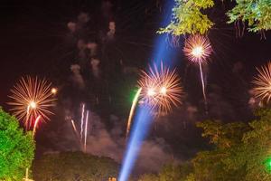 lindas luzes de fogos de artifício acima das árvores à noite. foto