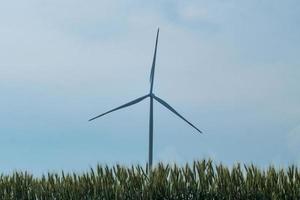 moinhos de vento para produção de energia elétrica nos campos de trigo contra o céu azul foto
