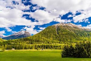 campos verdes e montanhas dos Alpes cobertos de floresta, Samedan, m