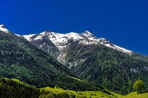 Alpes cobertos de floresta, fiesch, goms, wallis, valais, foto