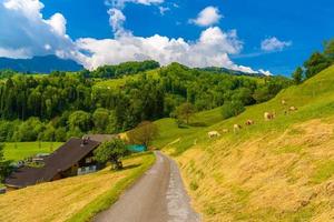 estrada na aldeia agarra em werdenberg em st. Gallen, Suíça foto