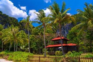 casa de bangalô de telhado vermelho em railay beach west, ao nang, krabi, th foto