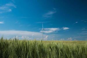 moinhos de vento para produção de energia elétrica nos campos de trigo contra o céu azul foto
