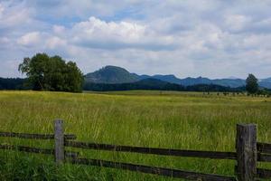 paisagem nas montanhas no parque nacional da suíça tcheca, floresta de pinheiros e rochas foto